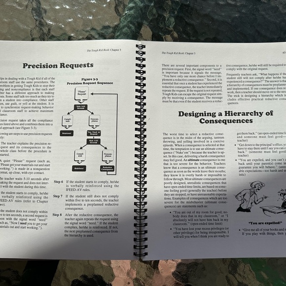 The tough kid book- practical classroom management strategies- like new! - Picture 7 of 10